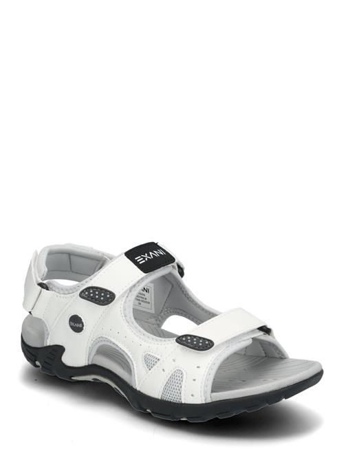 Exani | Spider Pro W | 38