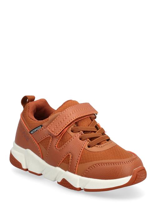 Exani | Bonnie K | 25