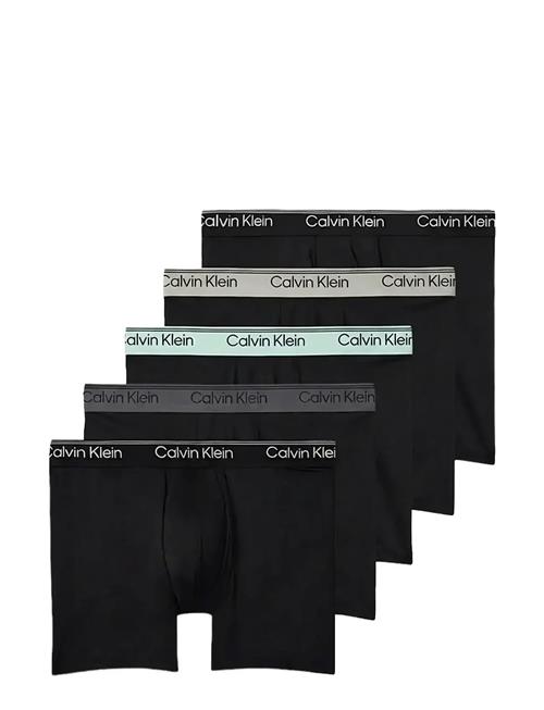 Calvin Klein | Boxer Brief 5Pk | L