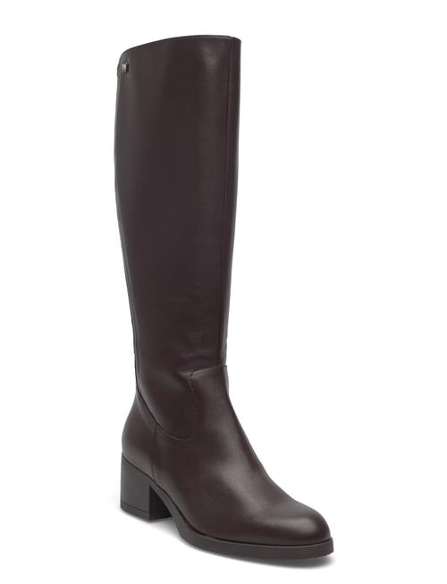 Wonders | Santa Fe 50 | 42