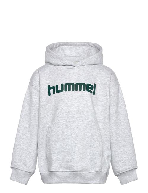 Hummel | Hmljr Boxy Hoodie Logo | 146/152