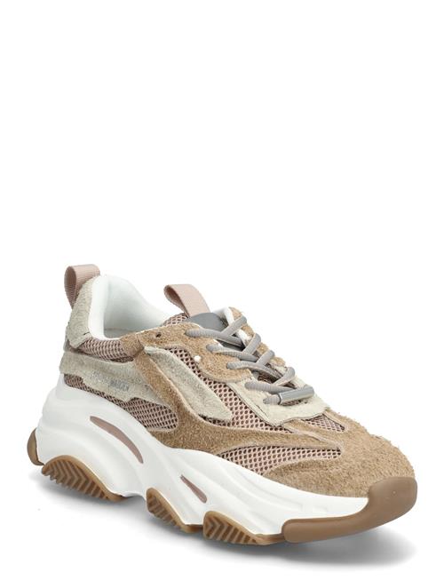 Steve Madden | Possession-E Sneaker | 39