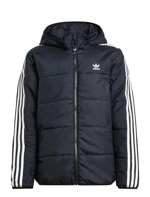 adidas Originals | Padded Jacket | 176