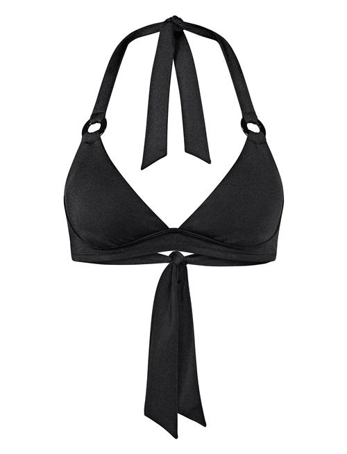 Triumph | Midnight Swim P | E x 40