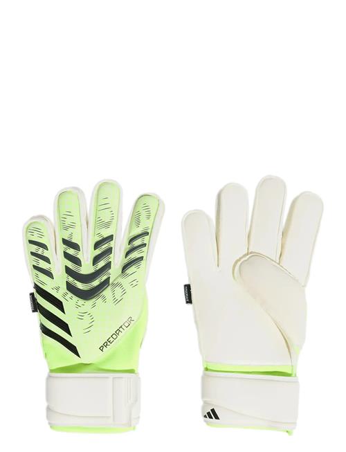 adidas Performance | Pred Gl Mtc Fs | 7.5