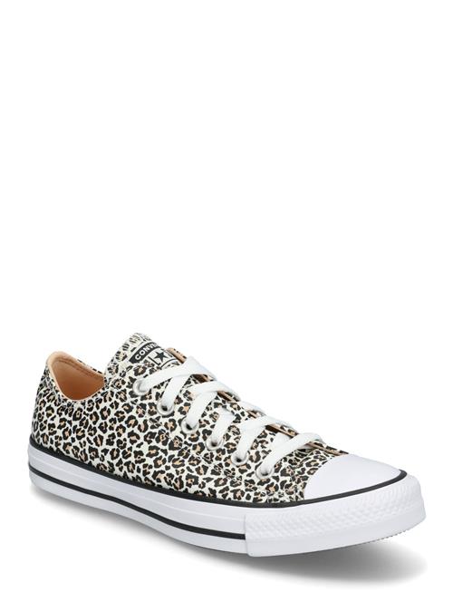 Converse | Ctas Ox Black/Coastal Dune/Egret | 38
