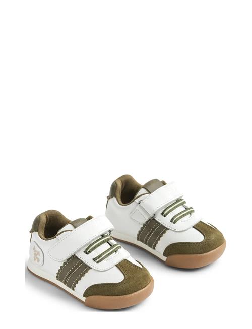 Wheat | Sneaker Spectra | 20