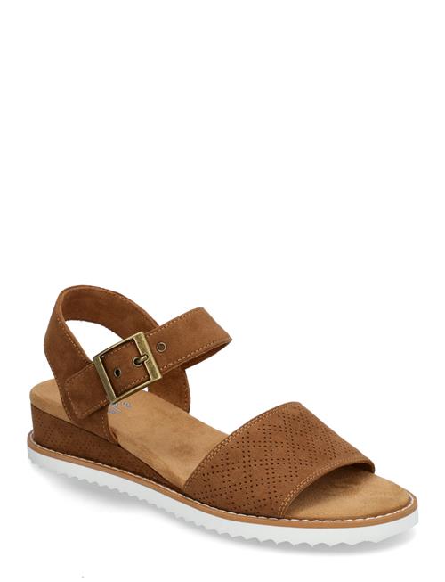 Skechers | Women Desert Kiss Serendipitous | 40