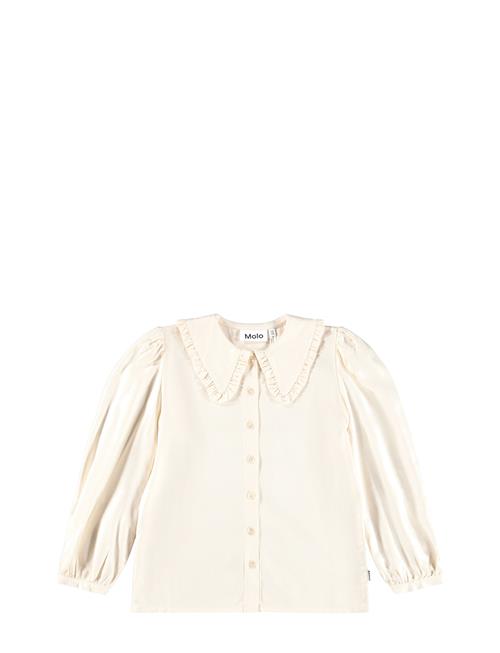 Molo | Robbin | 92/98