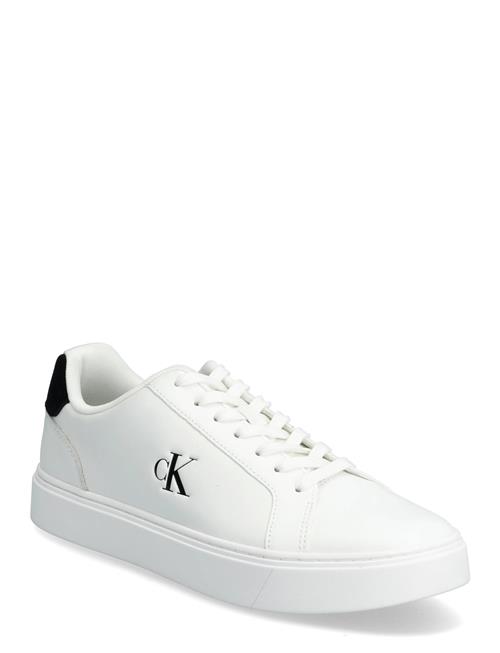 Calvin Klein | Classic Cupsole Laceup Lth | 41