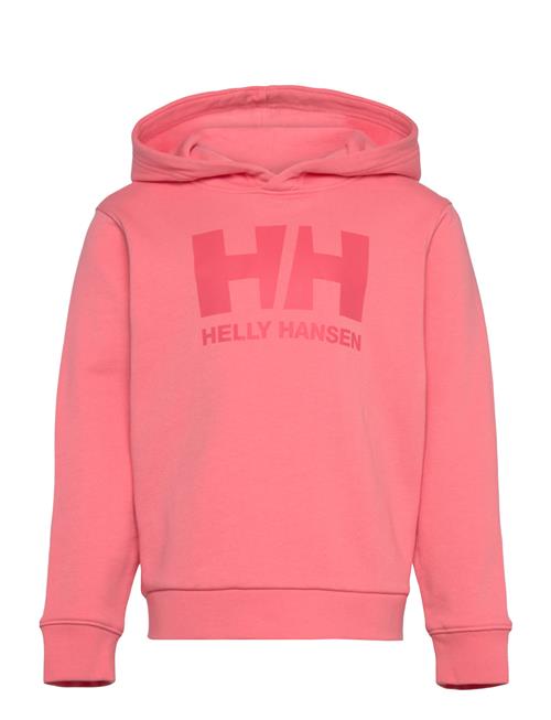 Helly Hansen | K Hh Logo Hoodie | 116