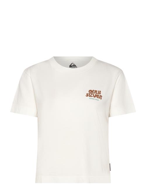 Quiksilver | Standard Ss Tee | S