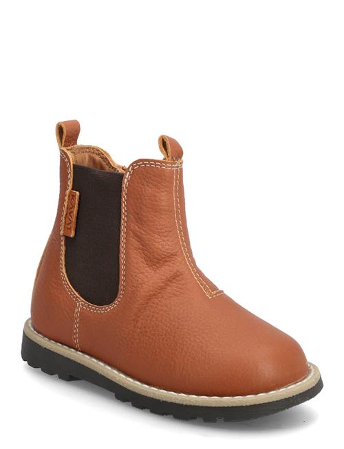 Kavat | Bellö | 27/17.3CM x 17.3