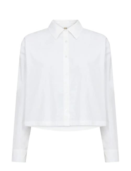 Soyaconcept | Sc-Netti | XL