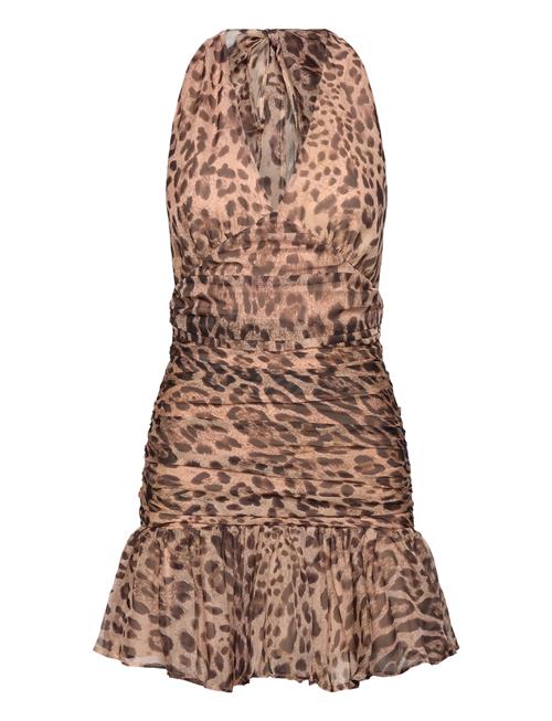 Bardot | Mave Halter Neck Mini Dress | 34