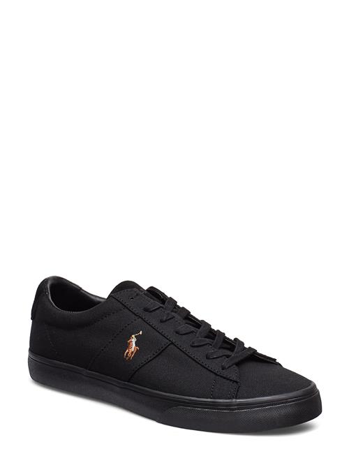 Polo Ralph Lauren | Sayer Canvas Sneaker | 36