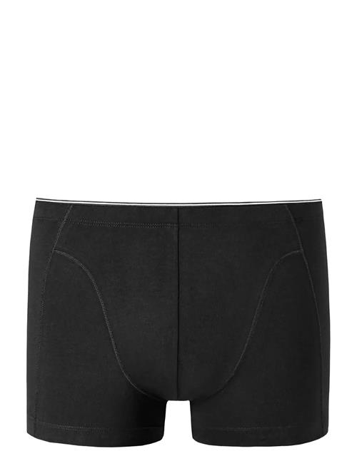 Schiesser | Shorts | L