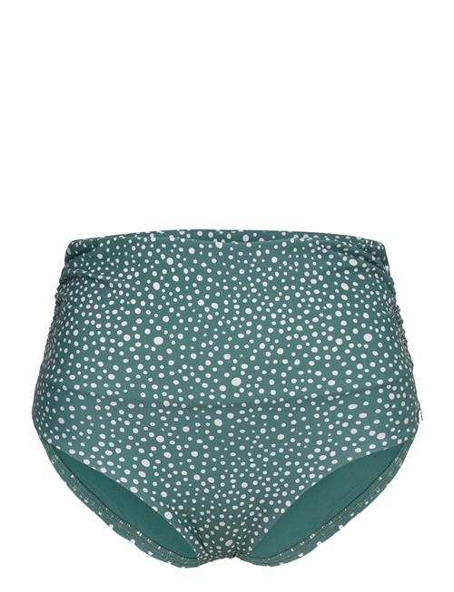 Panos Emporio | Ditsy Dots Chara Bottom | 42
