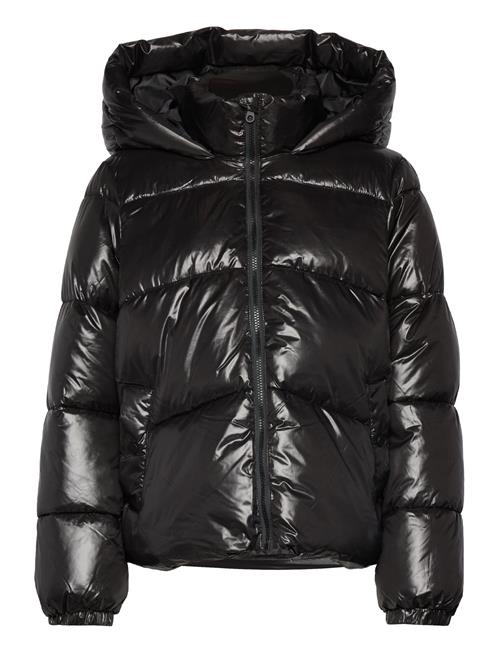 Vero Moda | Vmuppsashiny Short Jacket Excl | L