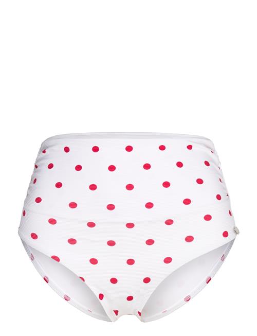 Panos Emporio | Polka Dot Chara Bottom | 42