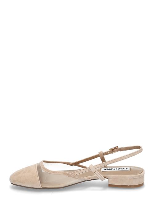 Steve Madden | Belinda-M | 37