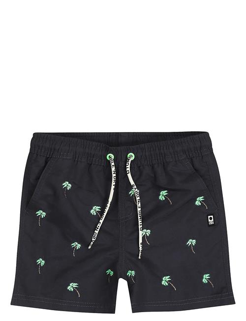 TUMBLE 'N DRY | Tnd Palmeira | 116