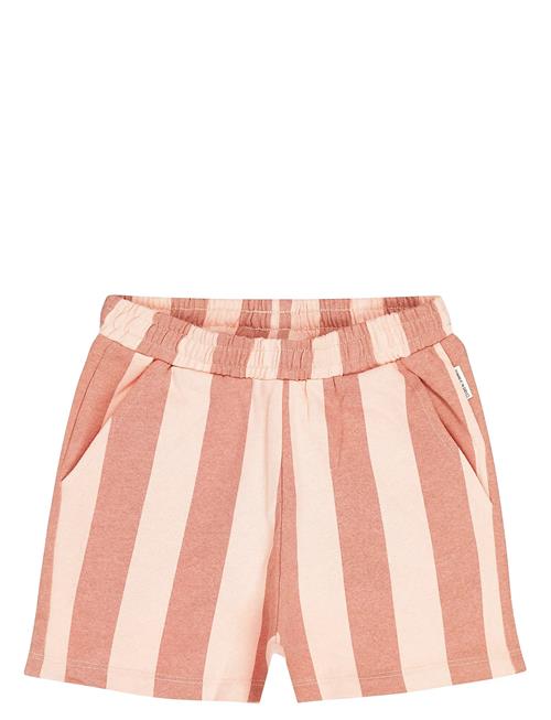 TUMBLE 'N DRY | Tnd Lunario | 158