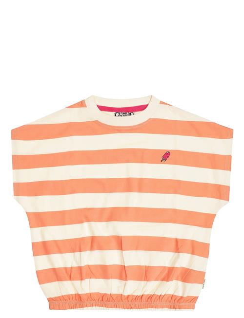 TUMBLE 'N DRY | Tnd Colatina | 92