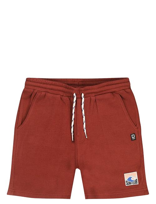 TUMBLE 'N DRY | Tnd Southport | 134