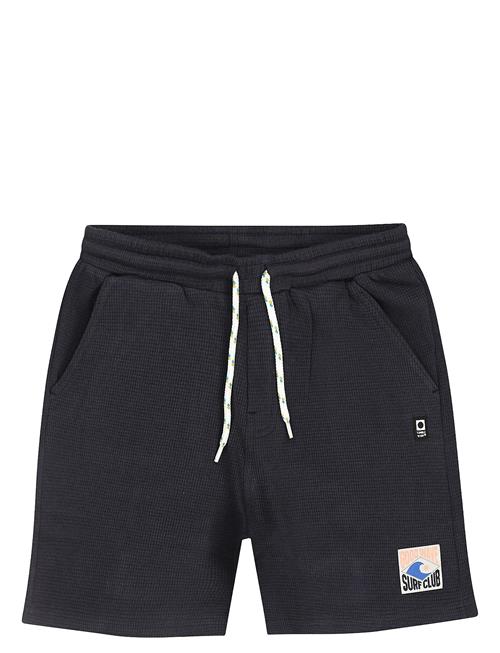 TUMBLE 'N DRY | Tnd Southport | 92
