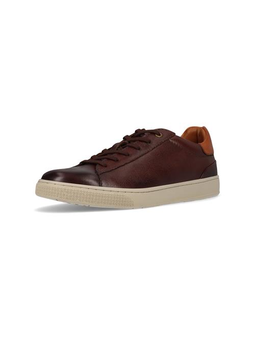 SALAMANDER Sneaker low  mørkebrun