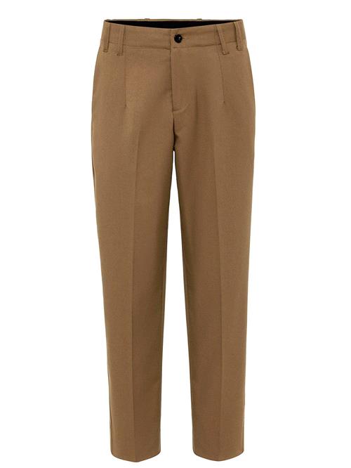 Antioch Bukser med lægfolder  mørkebeige