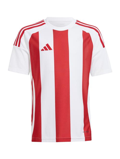 ADIDAS PERFORMANCE Funktionsskjorte  rød / hvid