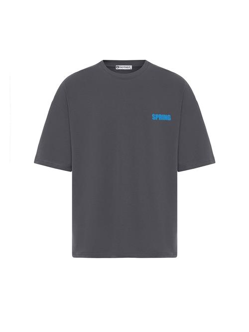 Dandalo Bluser & t-shirts  himmelblå / mørkegrå / hvid