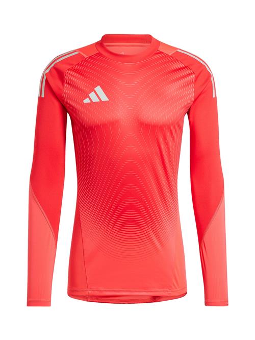 ADIDAS PERFORMANCE Fodboldtrøje  grå / rød / lys rød