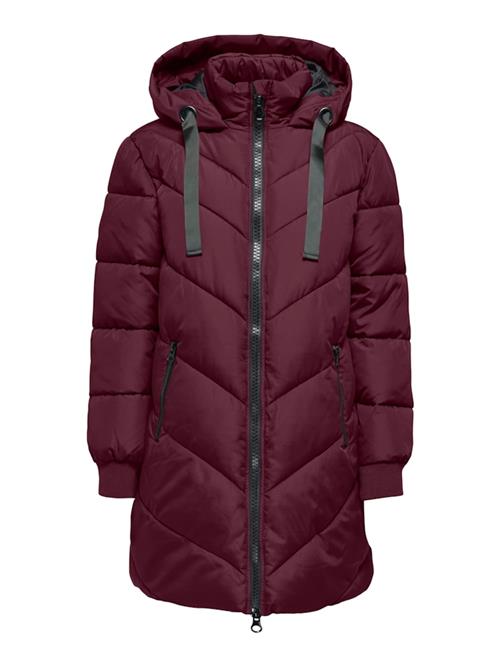 JDY Vinterfrakke 'JDYSkylar'  aubergine
