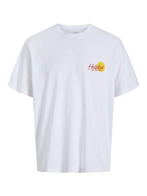 JACK & JONES Bluser & t-shirts 'JORWOWIE'  blå / gul / orange / hvid