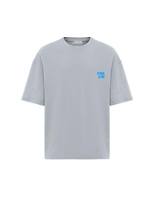 Dandalo Bluser & t-shirts  grå