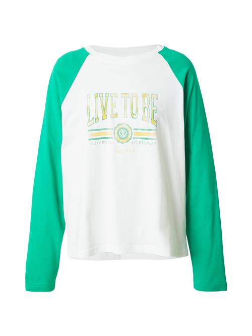 LTB Shirts 'TOMAHA'  turkis / gul / hvid