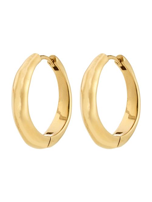 Pilgrim Øreringe 'Harrison'  guld