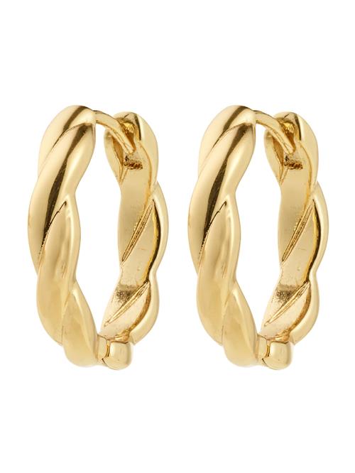 Pilgrim Øreringe 'Declan'  guld