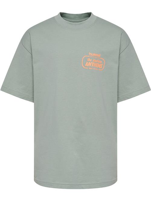 Hummel Shirts 'Stadium'  pastelgrøn / orange