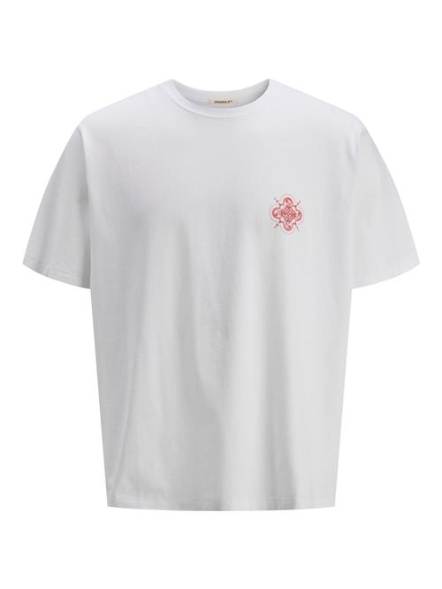 JACK & JONES Bluser & t-shirts  rød / hvid