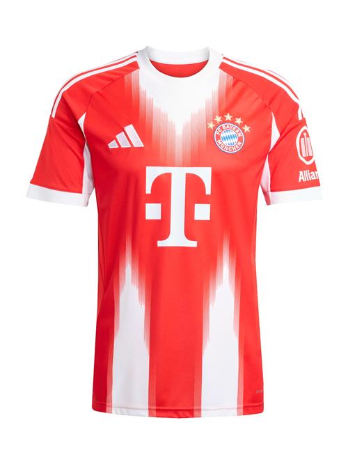 ADIDAS PERFORMANCE Fodboldtrøje 'FC Bayern München 2025/2026'  lyseblå / knaldrød / hvid