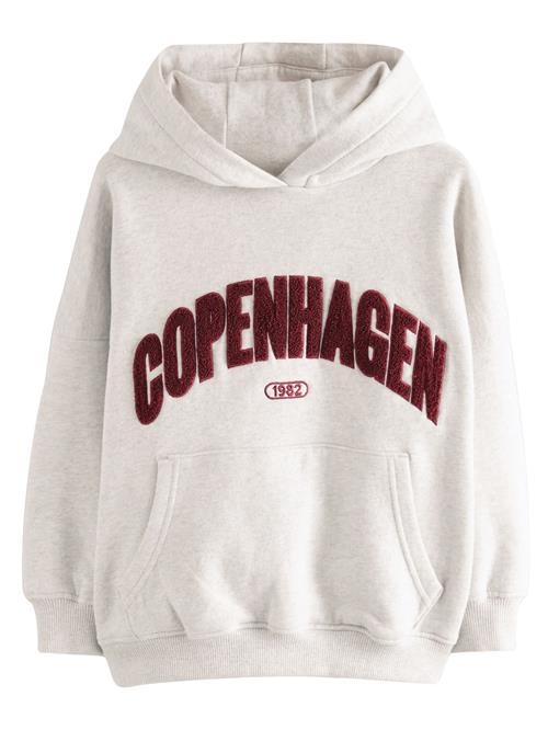 Next Sweatshirt  lysegrå / bordeaux