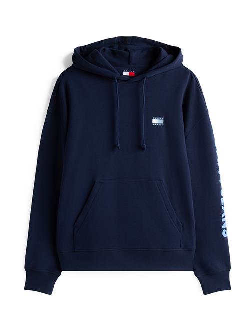 Tommy Jeans Sweatshirt 'New Classics'  lyseblå / mørkeblå