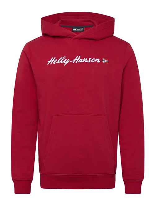 Helly Hansen | Core Graphic Sweat Hoodie | L