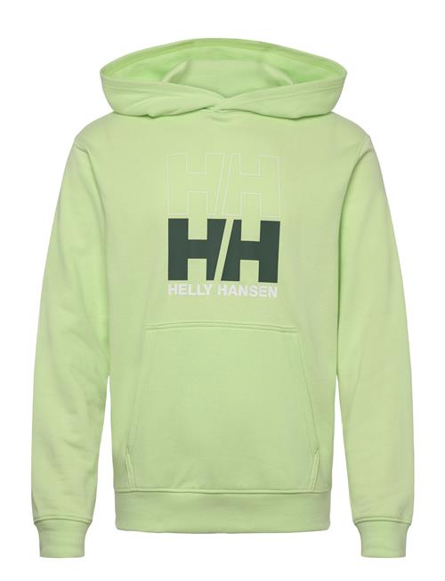 Helly Hansen | Core Graphic Sweat Hoodie | S
