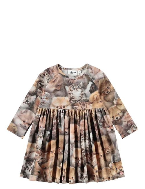 Molo | Charmaine | 92