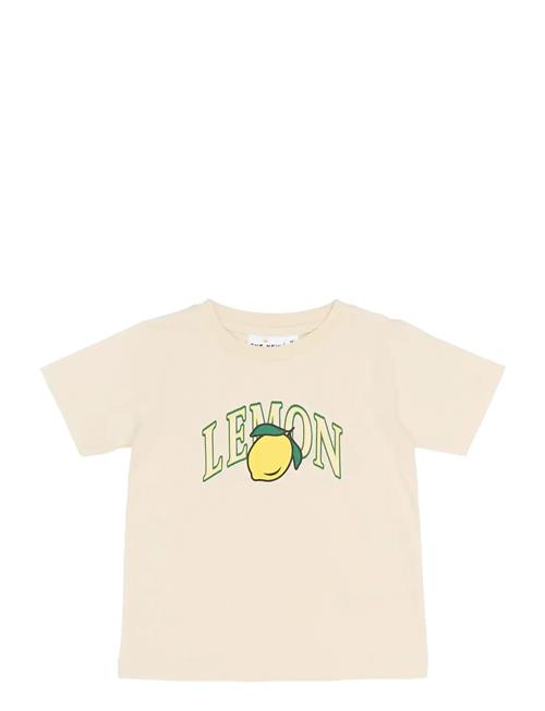 The New | Tnstshelly S_S Tee | 110